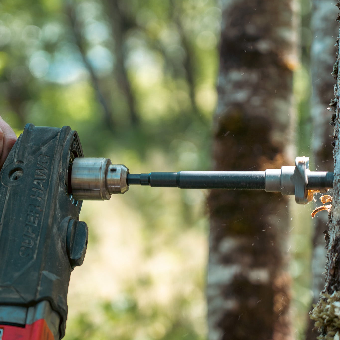 Tree Fort Install Bit