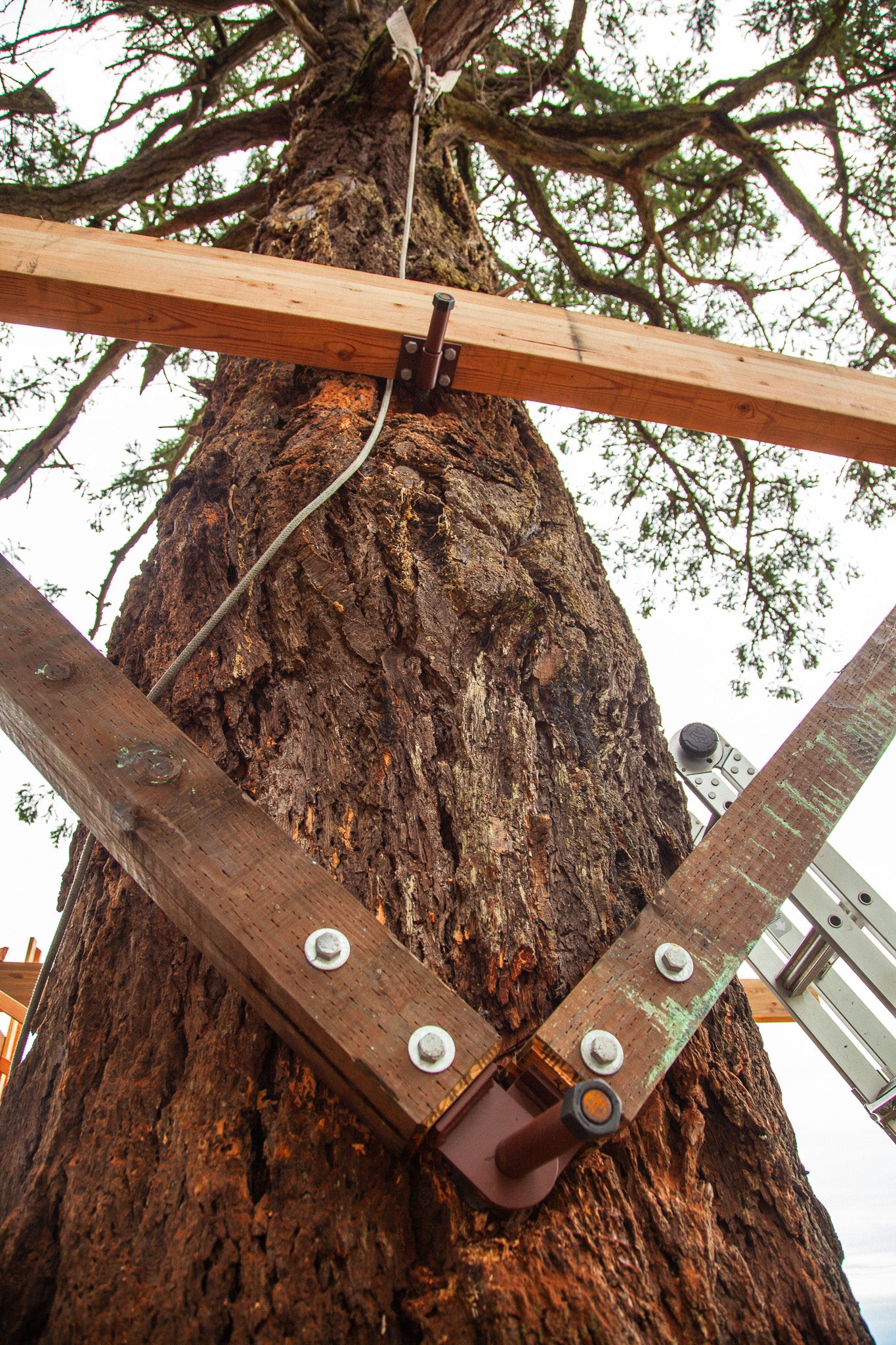 Wood Yoke SL Kit (Static)