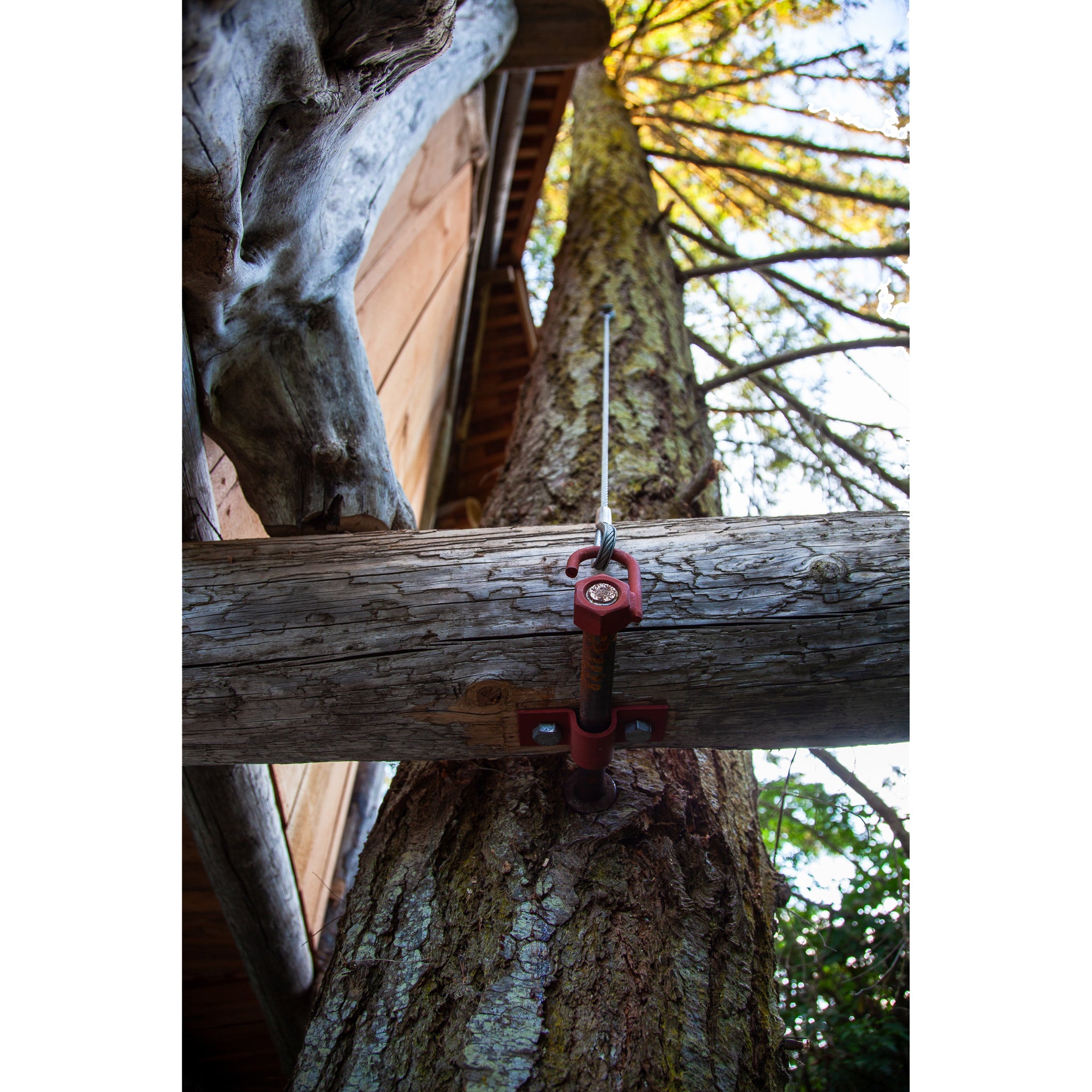 Tree Fort Cable Back Up