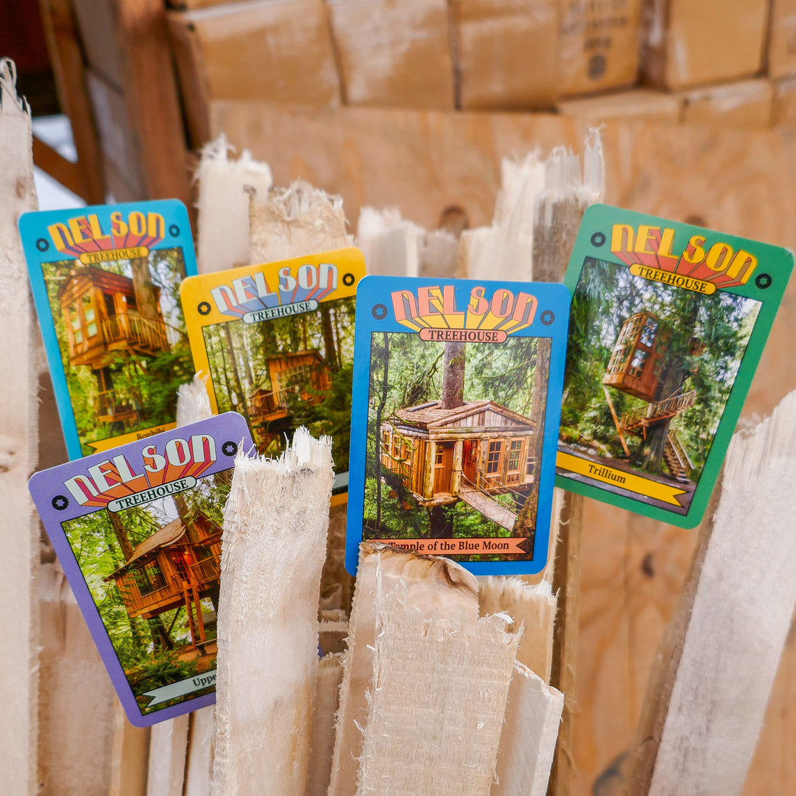 Treehouse Trading Cards
