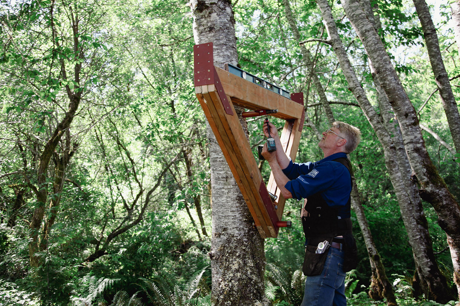 2 Tree 2 Yoke TF Kit