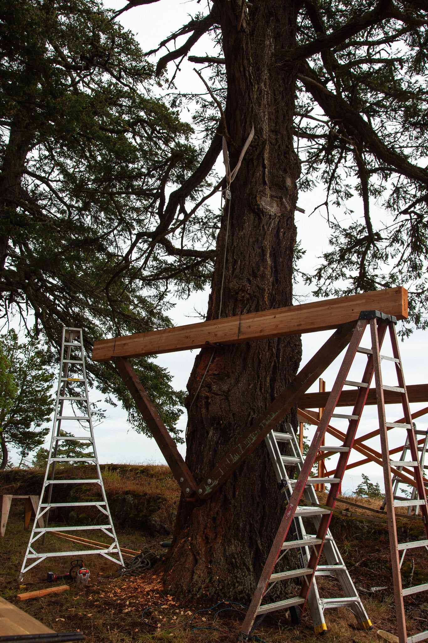 Wood Yoke SL Kit (Static)