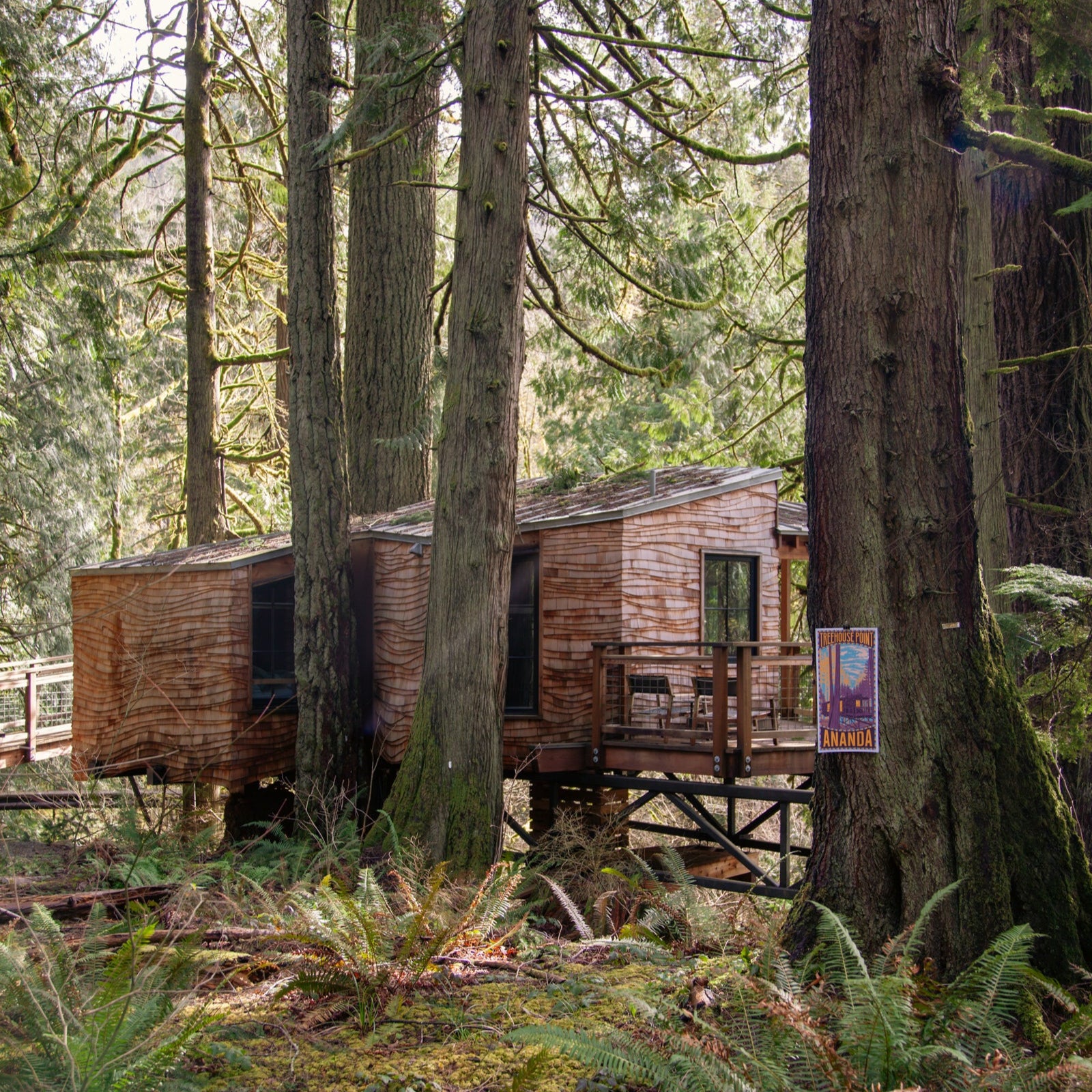 Ananda Poster - Limited Edition