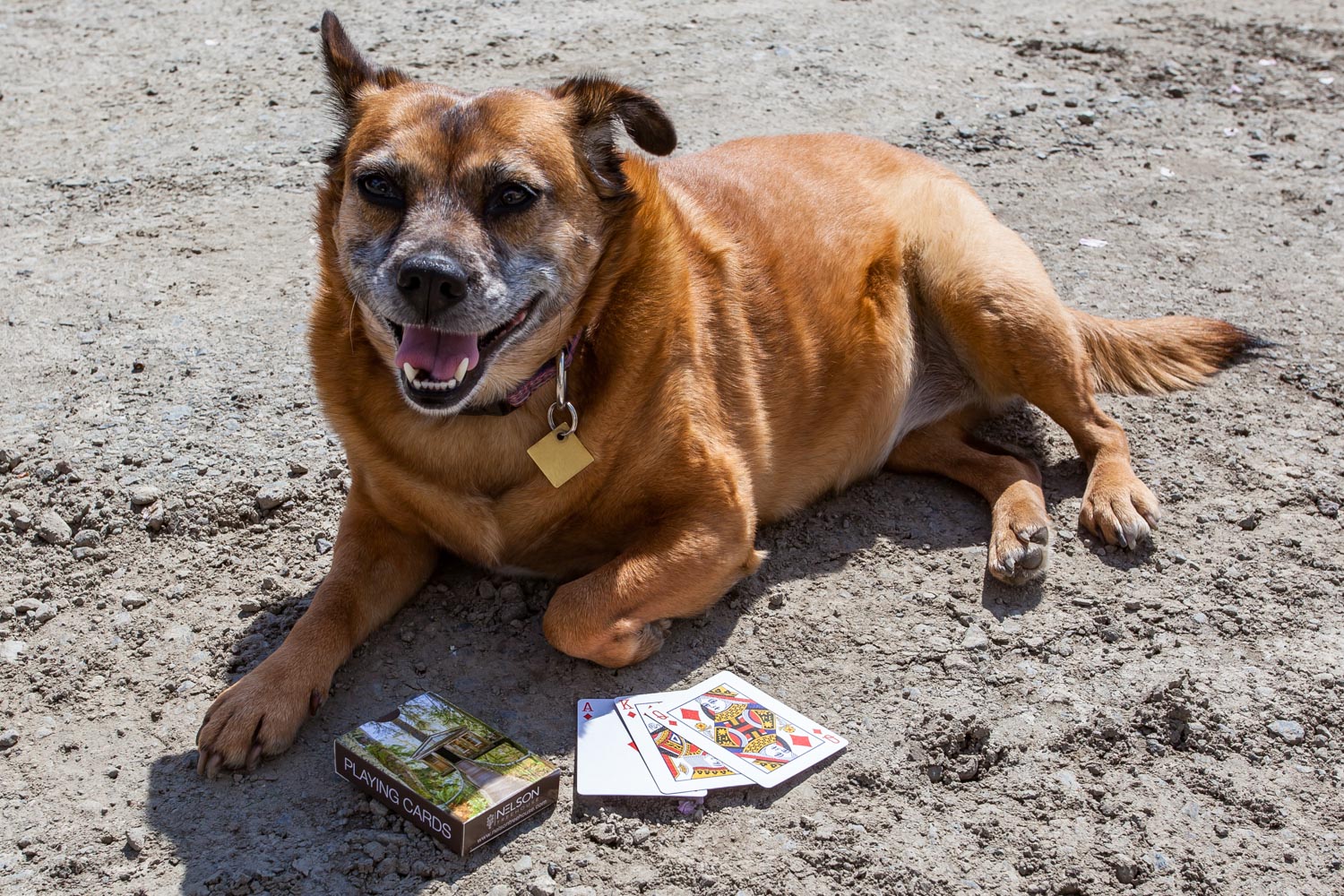 Playing Cards - Temple of the Blue Moon
