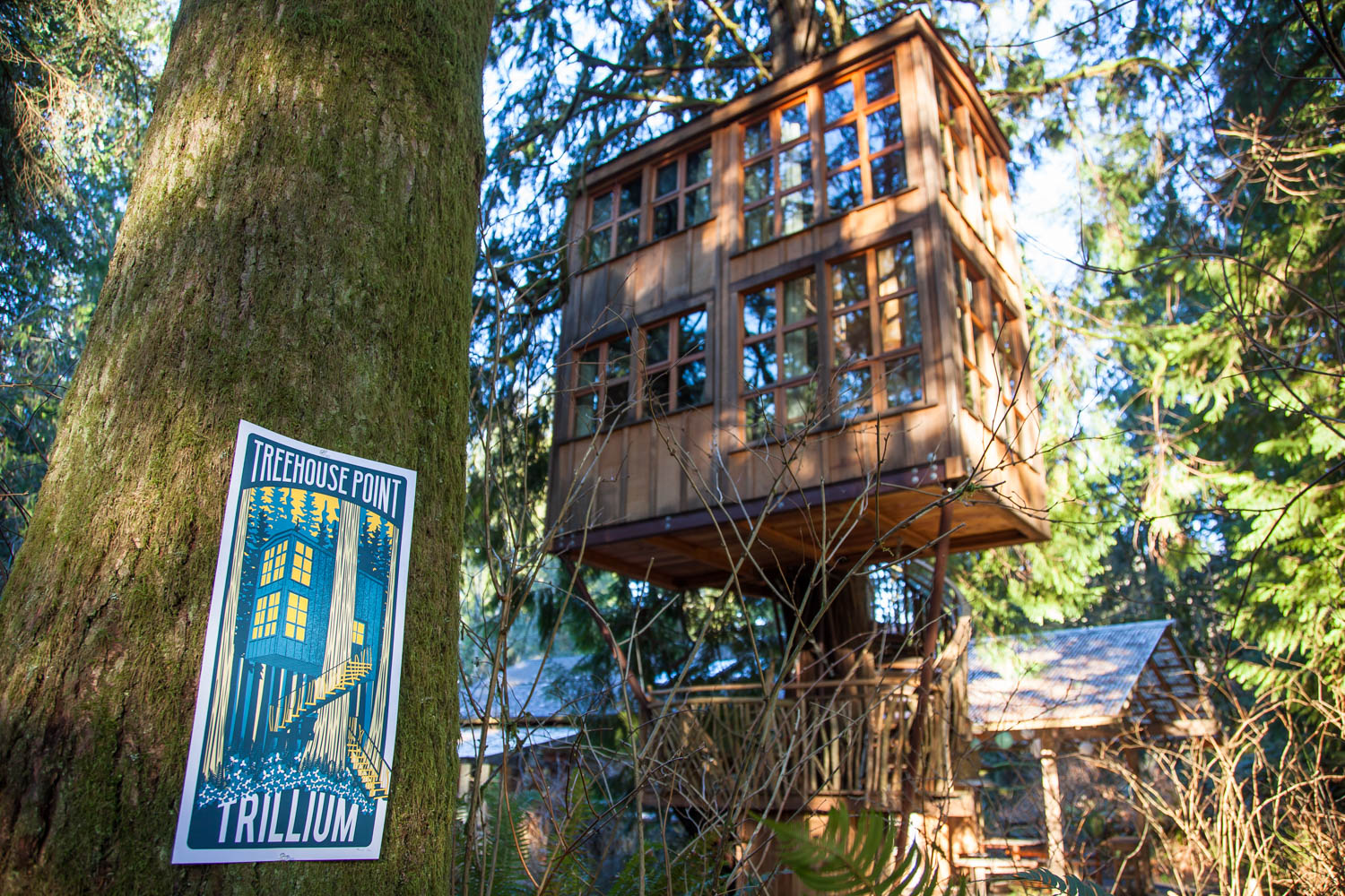 Trillium Poster - Limited Edition