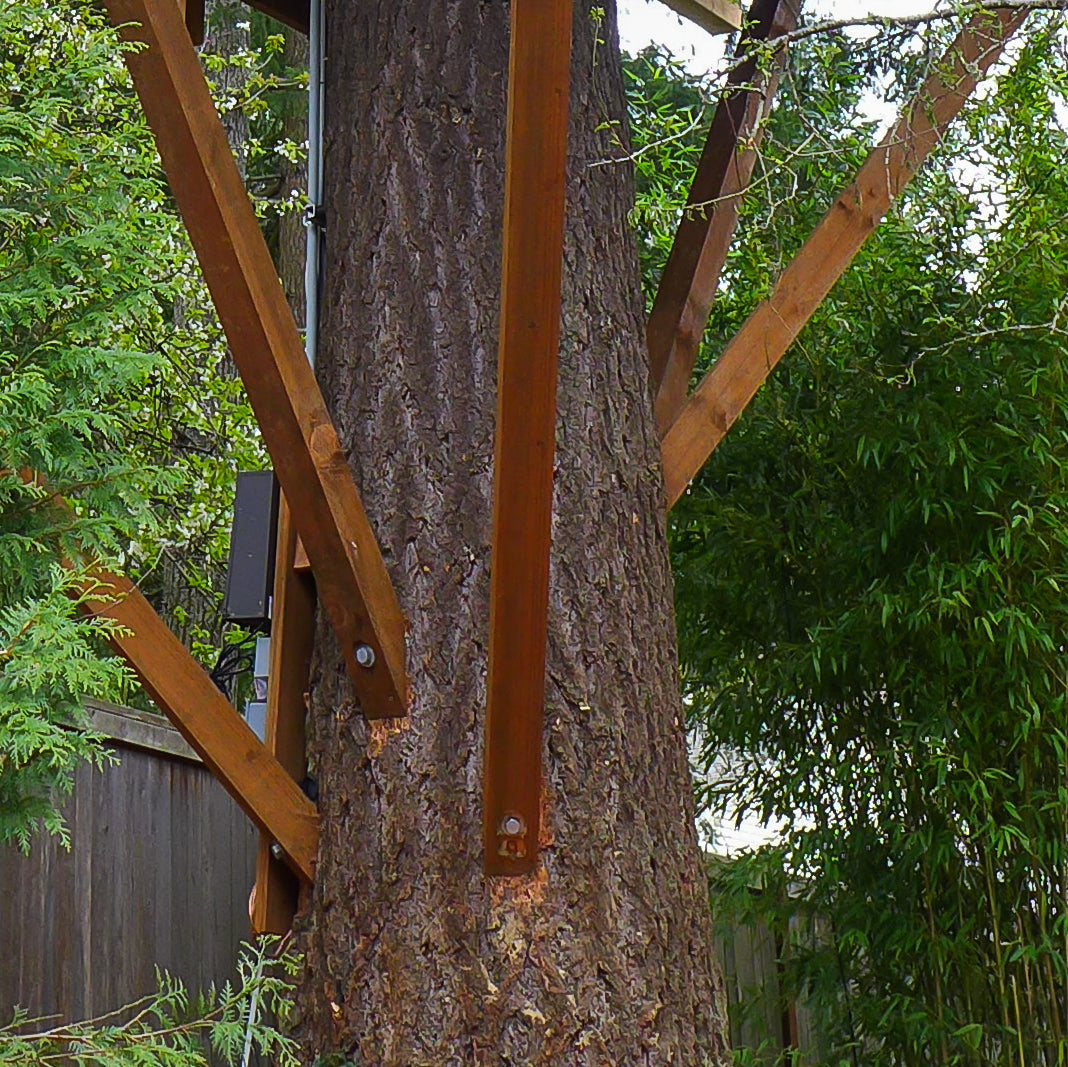 Lag Screw (1" x 12")