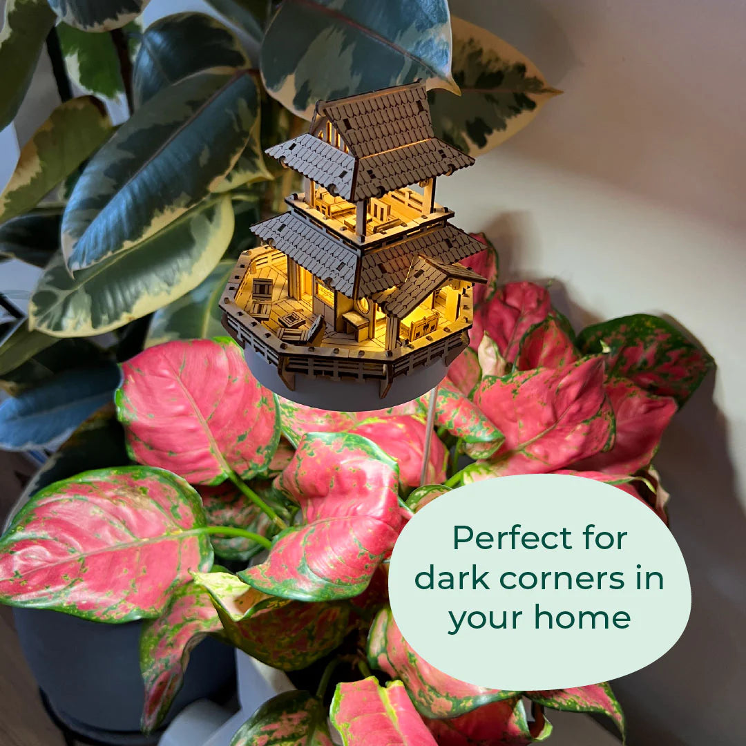 Sunrise Terrace + Grow Light