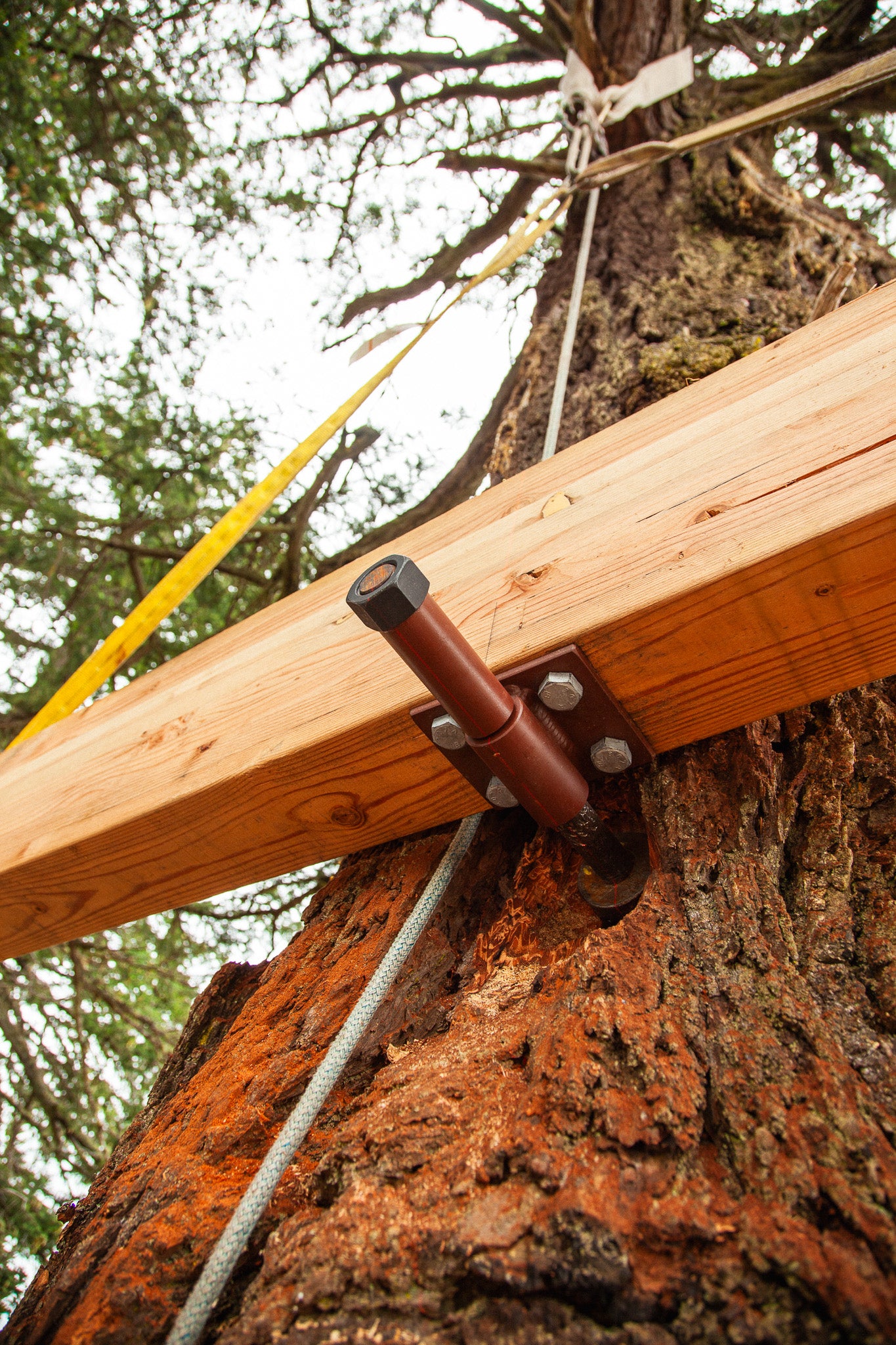 Wood Yoke SL Kit (Static)