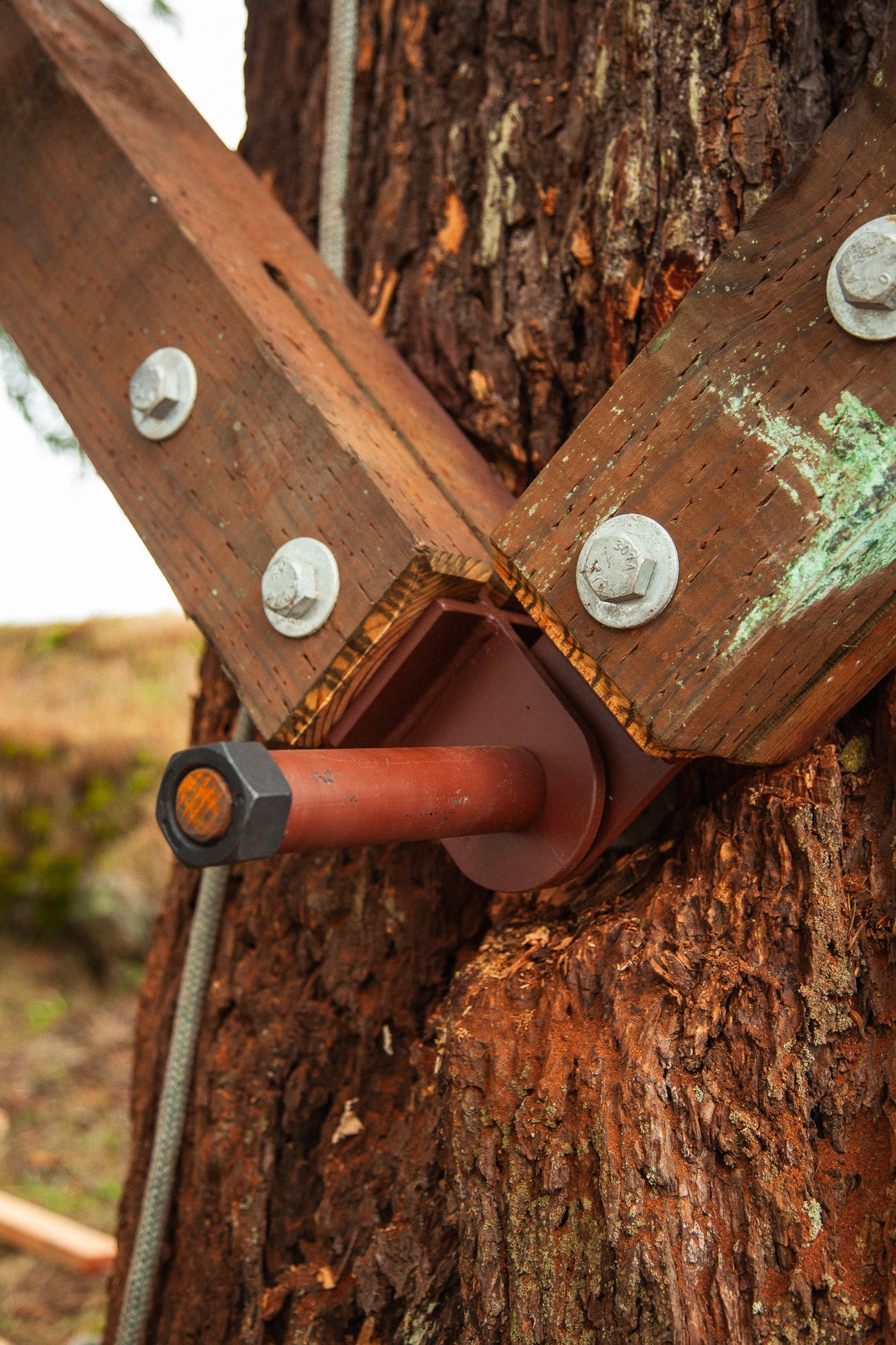 Wood Yoke SL Kit (Static)