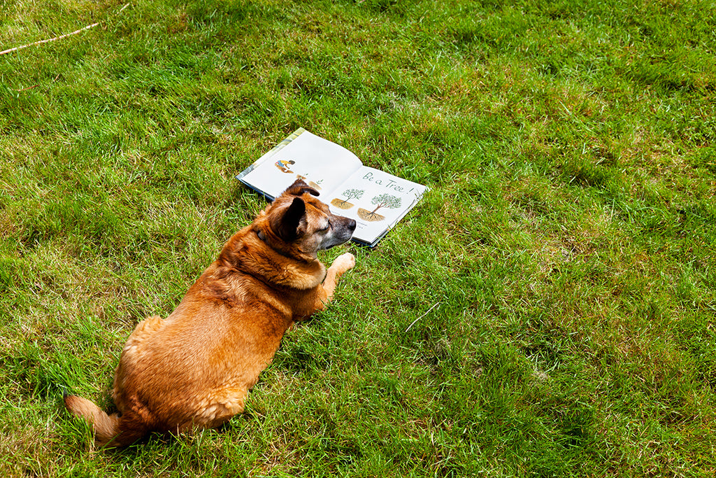Be a Tree - by Maria Gianferrari
