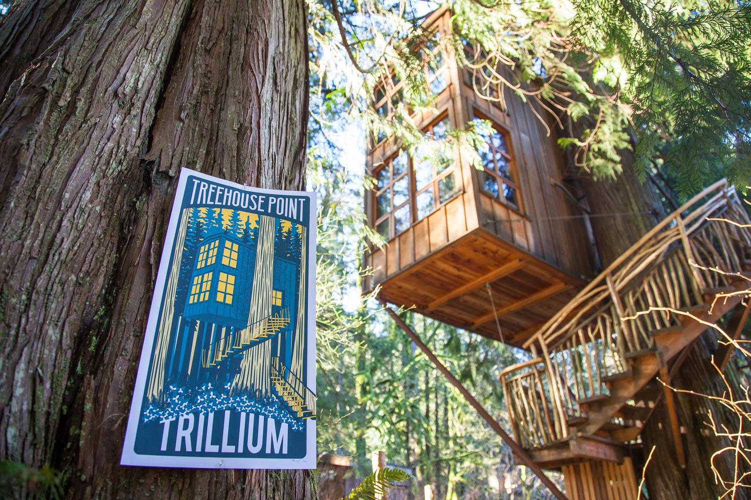 Trillium Poster - Limited Edition